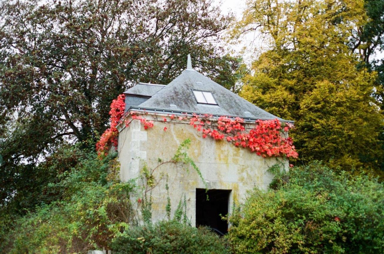 Chateau De La Huberdiere Nazelles-Negron Екстериор снимка