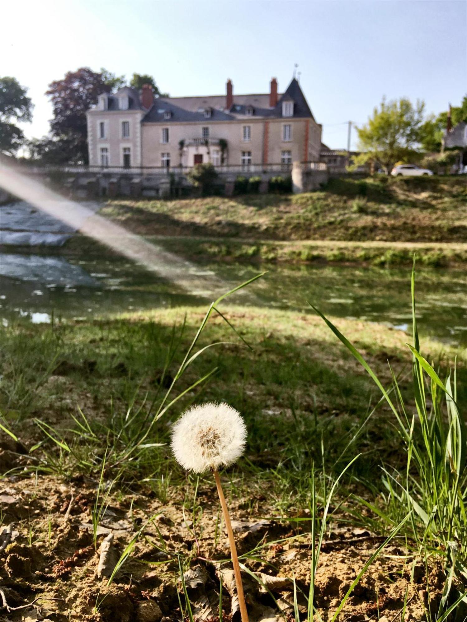 Chateau De La Huberdiere Nazelles-Negron Екстериор снимка