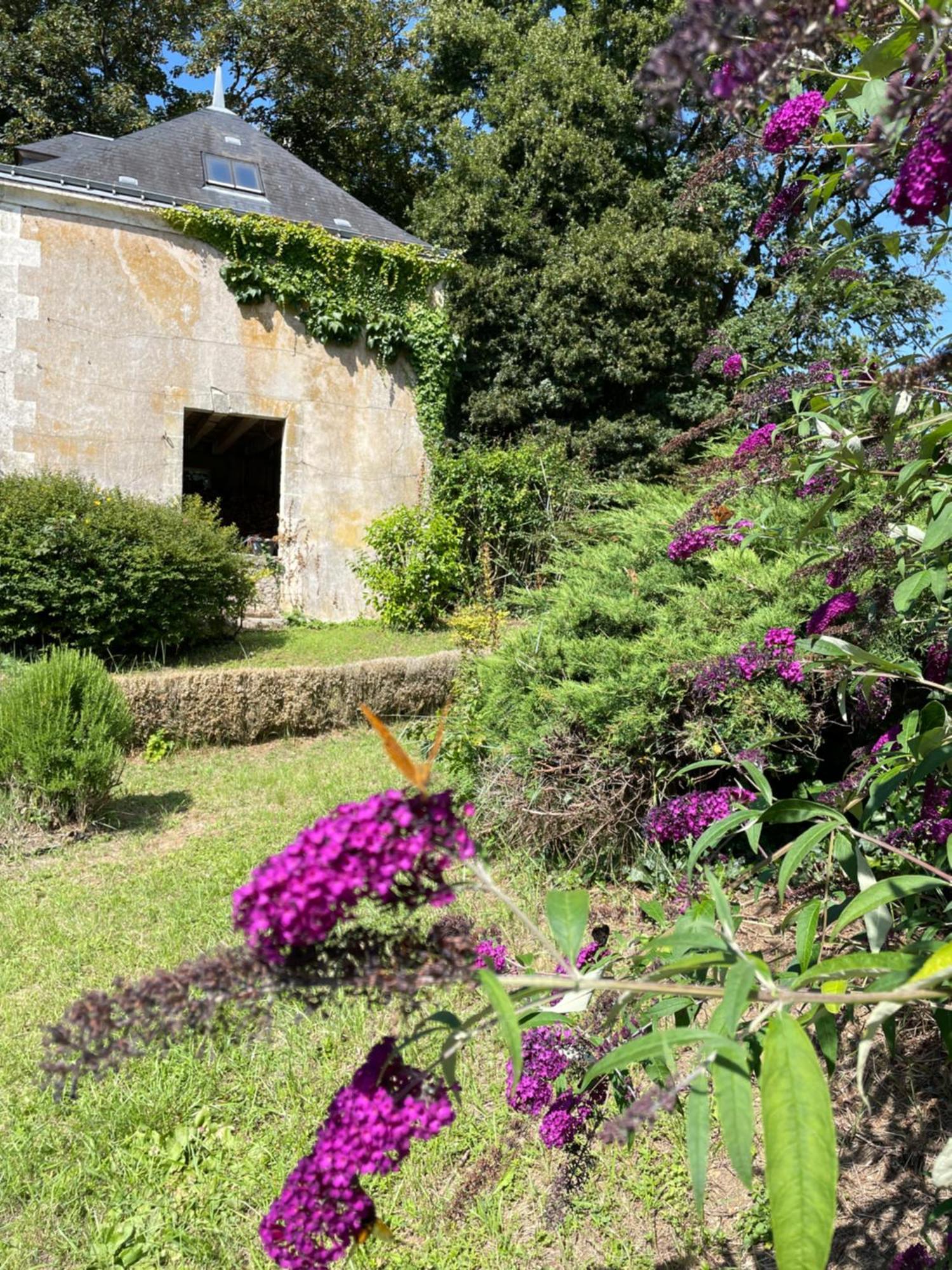Chateau De La Huberdiere Nazelles-Negron Екстериор снимка