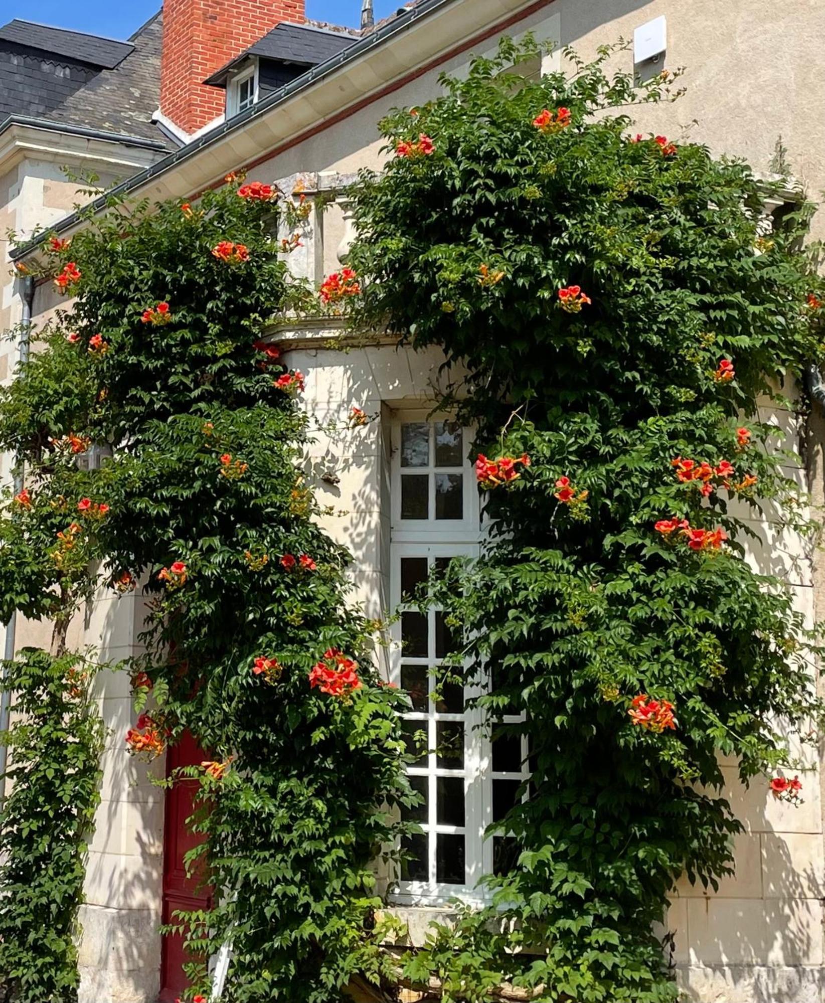 Chateau De La Huberdiere Nazelles-Negron Екстериор снимка